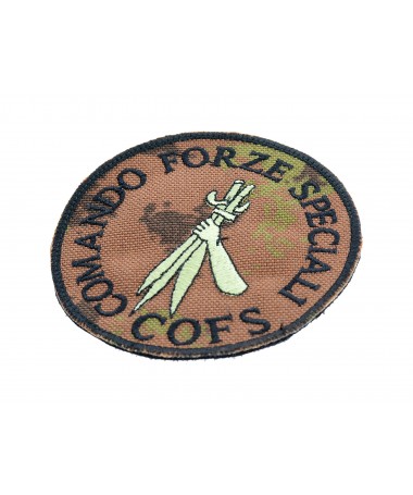 COFS Comando Interforze Operazioni Forze Speciali