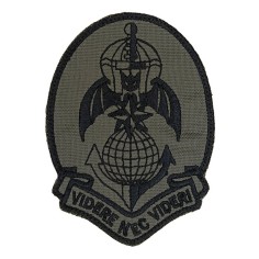 LA PATCHERIA: 185th RRAO Videre Nec Videri Olive