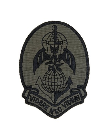 LA PATCHERIA: 185th RRAO Videre Nec Videri Olive