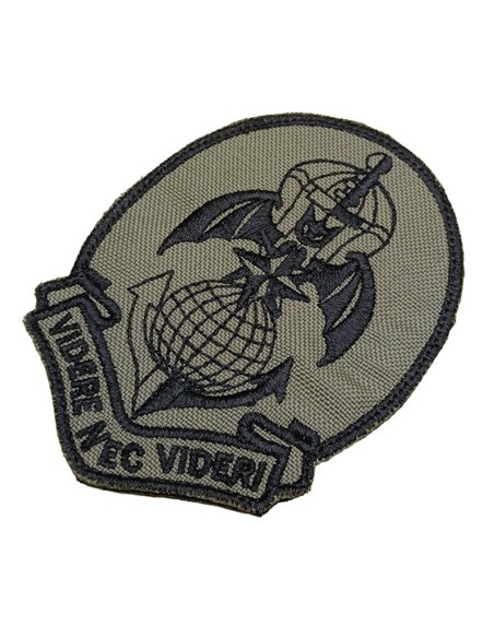 LA PATCHERIA: 185th RRAO Videre Nec Videri Olive