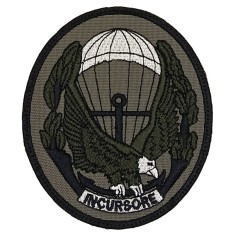 LA PATCHERIA: 9th Col Moschin Raider Olive